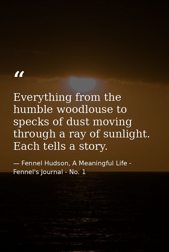 Everything from the humble woodlouse to specks of dust moving through a ray of sunlight. Each tells a story. — Fennel Hudson, A Meaningful Life - Fennel's Journal - No. 1
