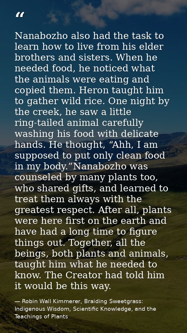 Nanabozho also had the task to learn how to live from his elder brothers and sisters. When he needed food, he noticed wh — Robin Wall Kimmerer, Braiding Sweetgrass: Indigenous Wisdom, Scientific Knowledge, and the Teachings of Plants