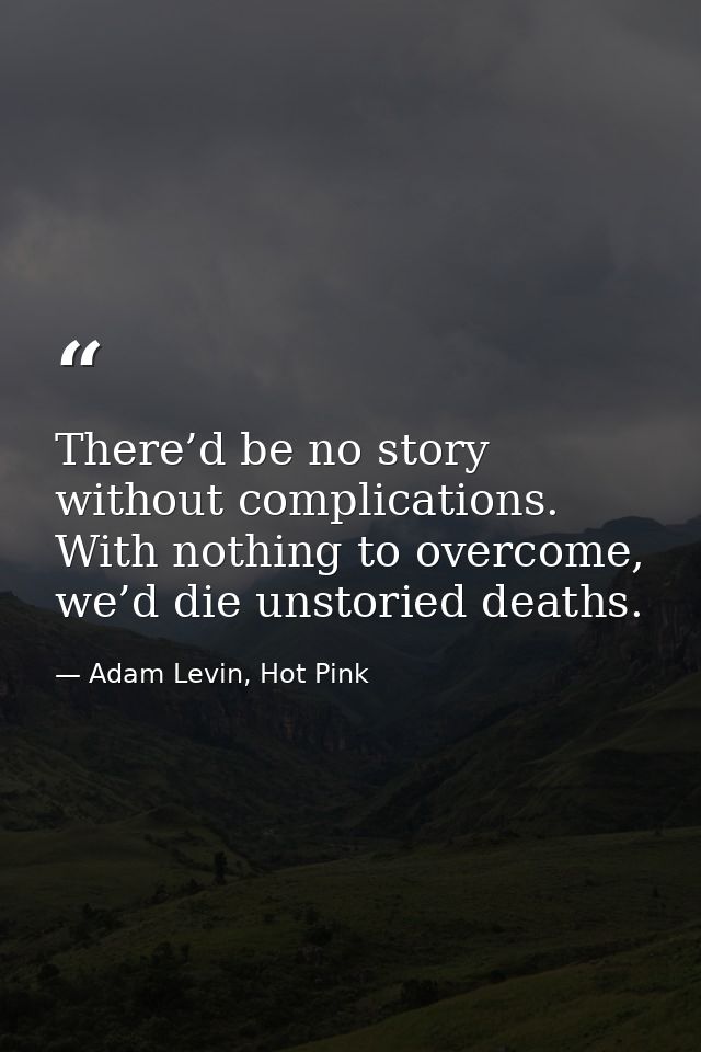 There’d be no story without complications. With nothing to overcome, we’d die unstoried deaths. — Adam Levin, Hot Pink