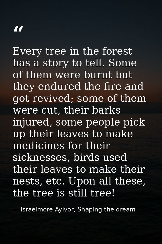 Every tree in the forest has a story to tell. Some of them were burnt but they endured the fire and got revived; some of — Israelmore Ayivor, Shaping the dream