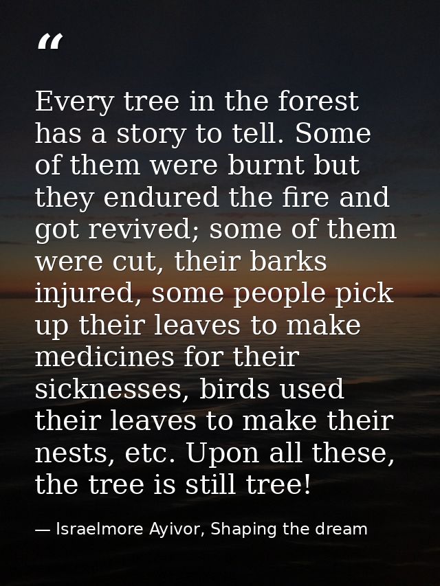Every tree in the forest has a story to tell. Some of them were burnt but they endured the fire and got revived; some of — Israelmore Ayivor, Shaping the dream