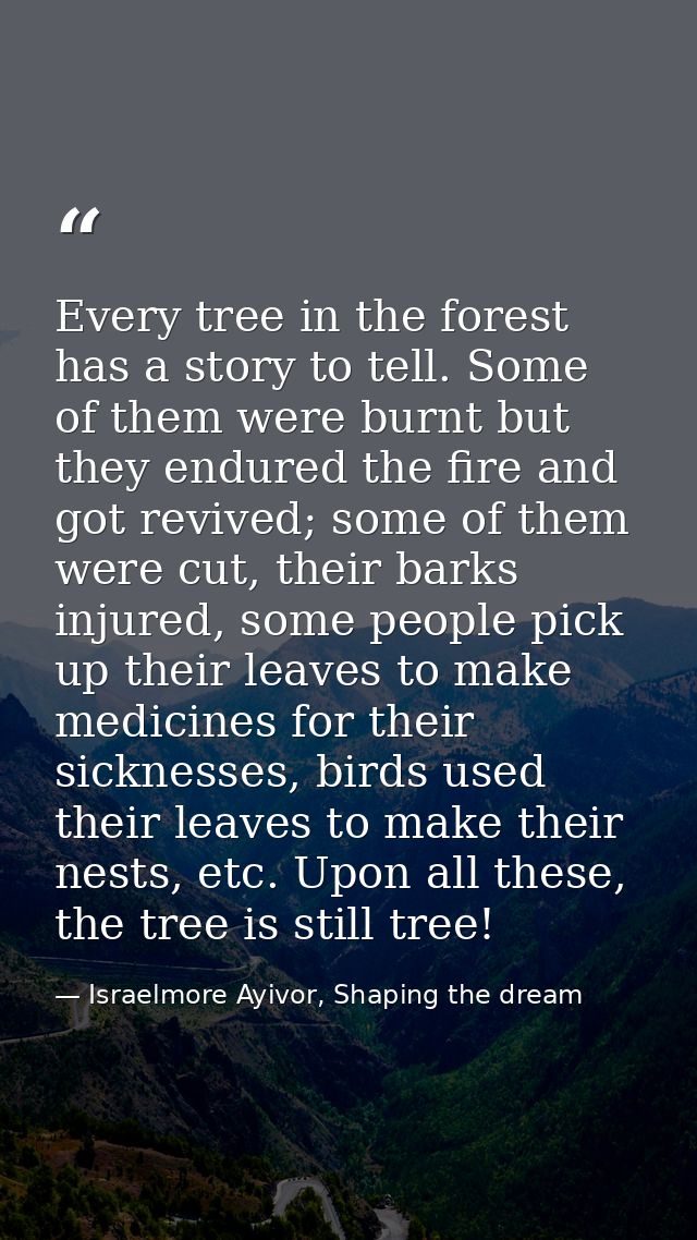 Every tree in the forest has a story to tell. Some of them were burnt but they endured the fire and got revived; some of — Israelmore Ayivor, Shaping the dream