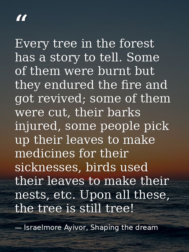Every tree in the forest has a story to tell. Some of them were burnt but they endured the fire and got revived; some of — Israelmore Ayivor, Shaping the dream