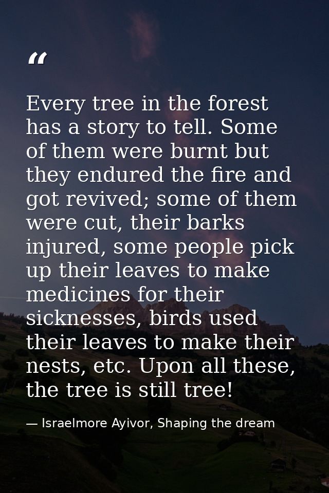 Every tree in the forest has a story to tell. Some of them were burnt but they endured the fire and got revived; some of — Israelmore Ayivor, Shaping the dream