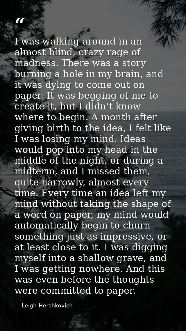 I was walking around in an almost blind, crazy rage of madness. There was a story burning a hole in my brain, and it was — Leigh Hershkovich