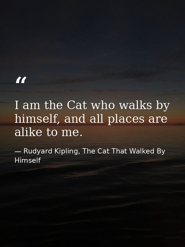 I am the Cat who walks by himself, and all places are alike to me. — Rudyard Kipling, The Cat That Walked By Himself