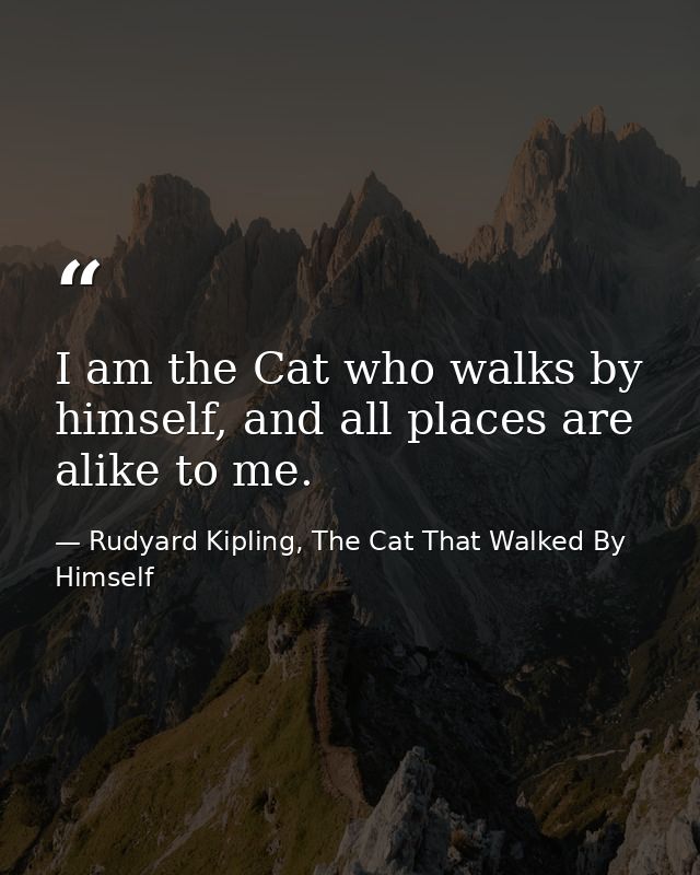 I am the Cat who walks by himself, and all places are alike to me. — Rudyard Kipling, The Cat That Walked By Himself