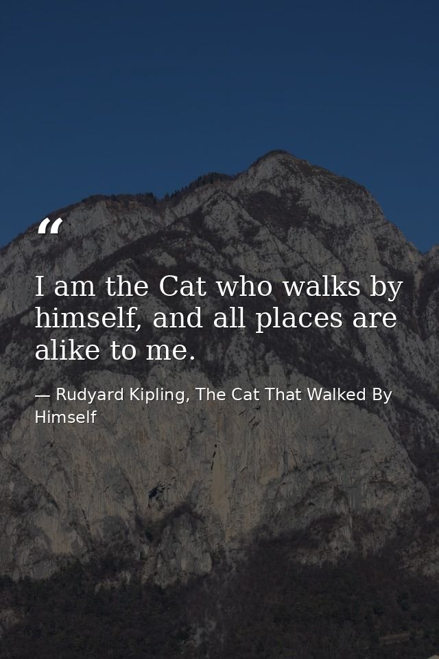 I am the Cat who walks by himself, and all places are alike to me. — Rudyard Kipling, The Cat That Walked By Himself