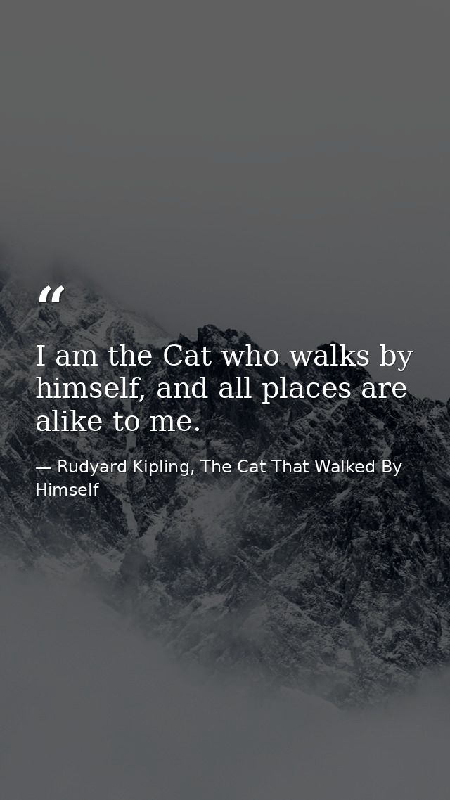 I am the Cat who walks by himself, and all places are alike to me. — Rudyard Kipling, The Cat That Walked By Himself