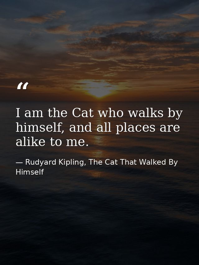I am the Cat who walks by himself, and all places are alike to me. — Rudyard Kipling, The Cat That Walked By Himself