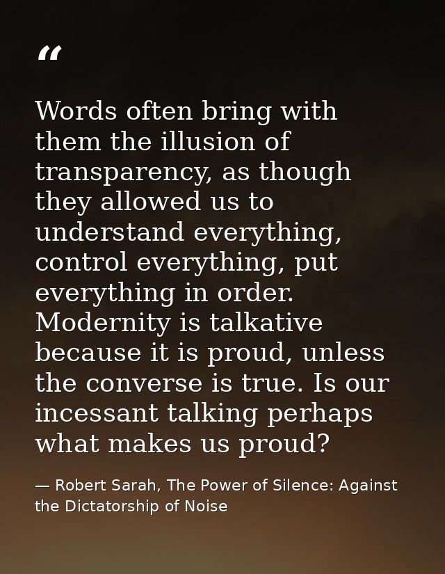 Words often bring with them the illusion of transparency, as though they allowed us to understand everything, control ev — Robert Sarah, The Power of Silence: Against the Dictatorship of Noise