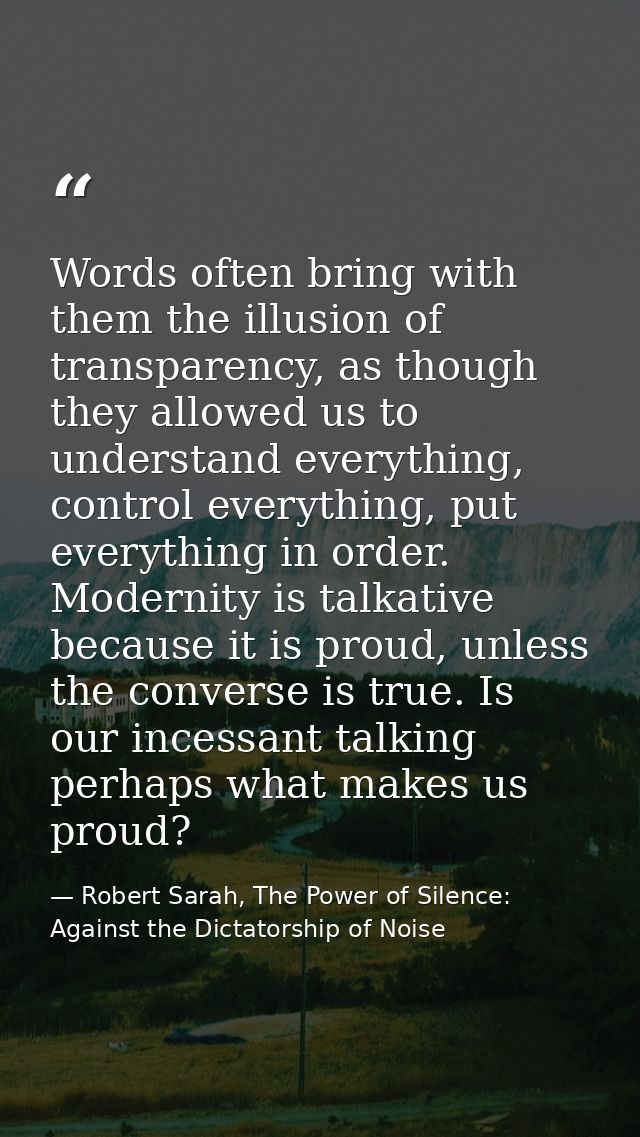 Words often bring with them the illusion of transparency, as though they allowed us to understand everything, control ev — Robert Sarah, The Power of Silence: Against the Dictatorship of Noise