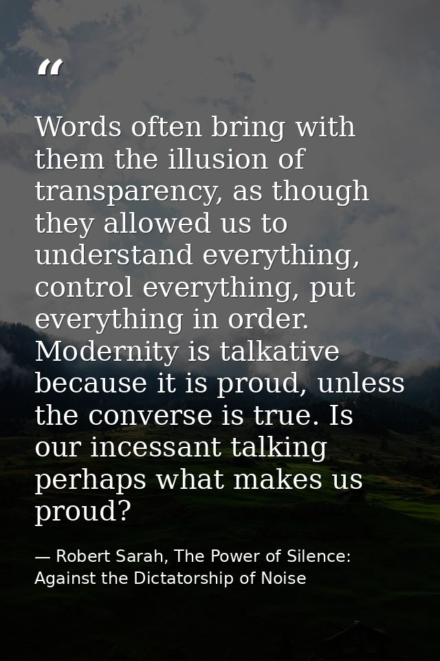 Words often bring with them the illusion of transparency, as though they allowed us to understand everything, control ev — Robert Sarah, The Power of Silence: Against the Dictatorship of Noise