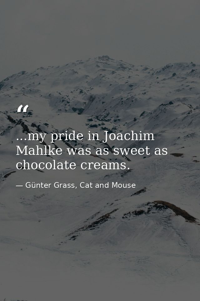 ...my pride in Joachim Mahlke was as sweet as chocolate creams. — Günter Grass, Cat and Mouse