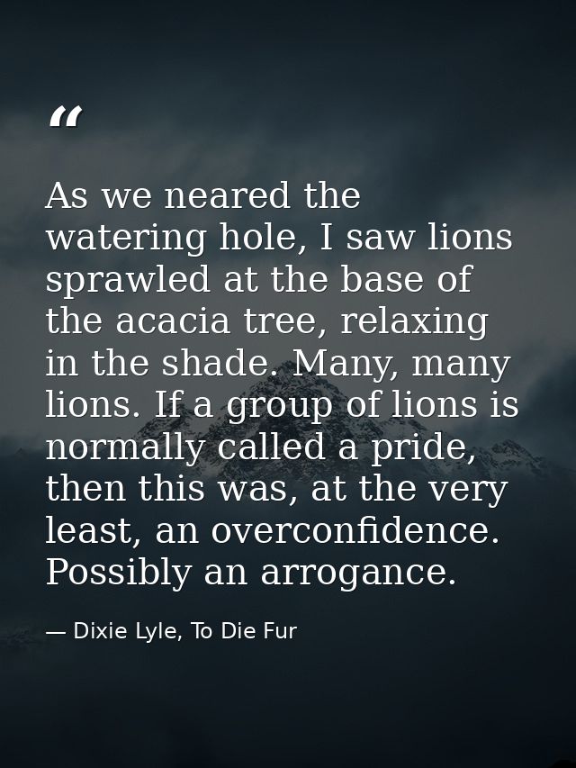 As we neared the watering hole, I saw lions sprawled at the base of the acacia tree, relaxing in the shade. Many, many l — Dixie Lyle, To Die Fur