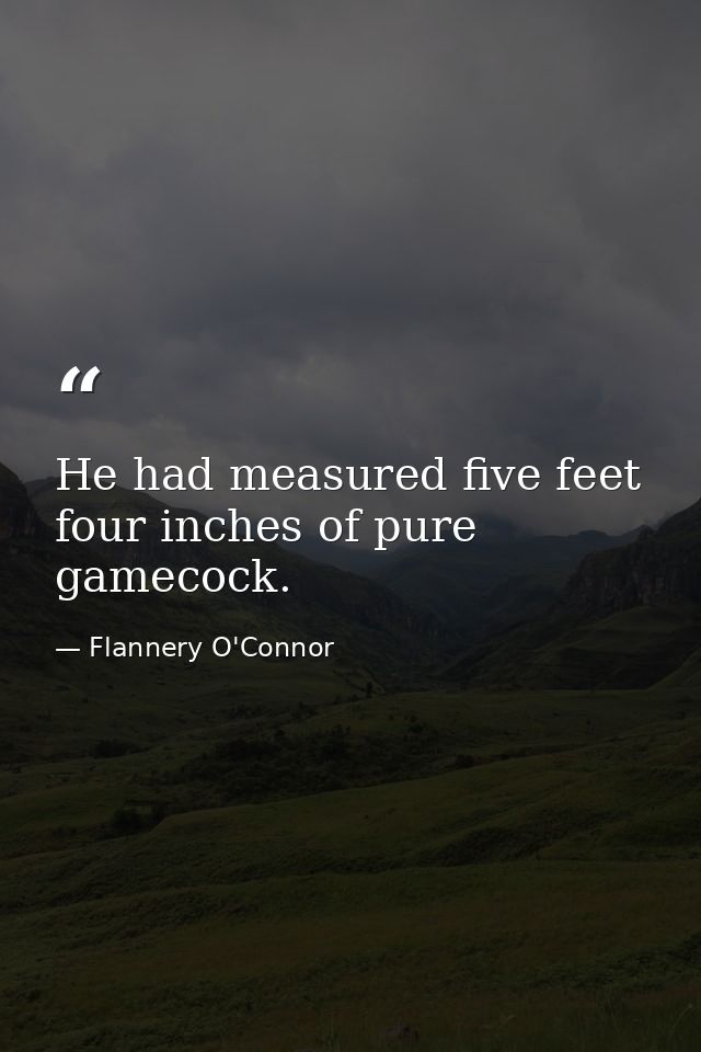 He had measured five feet four inches of pure gamecock. — Flannery O'Connor
