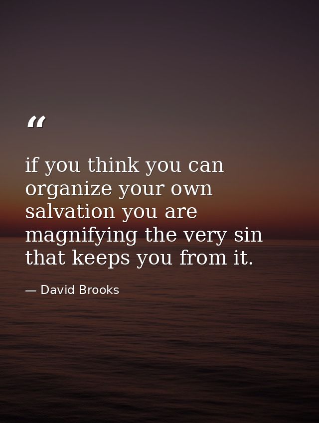 if you think you can organize your own salvation you are magnifying the very sin that keeps you from it. — David Brooks