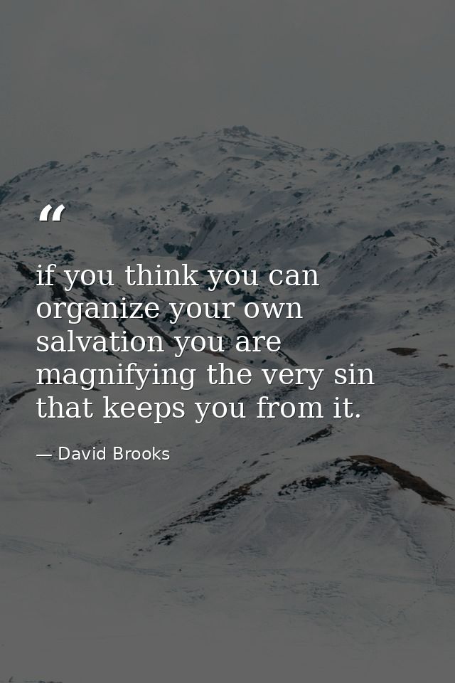 if you think you can organize your own salvation you are magnifying the very sin that keeps you from it. — David Brooks