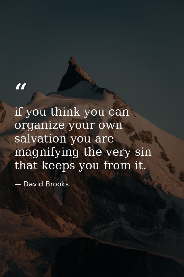 if you think you can organize your own salvation you are magnifying the very sin that keeps you from it. — David Brooks