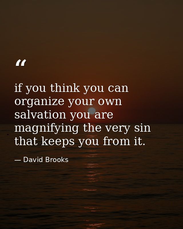 if you think you can organize your own salvation you are magnifying the very sin that keeps you from it. — David Brooks