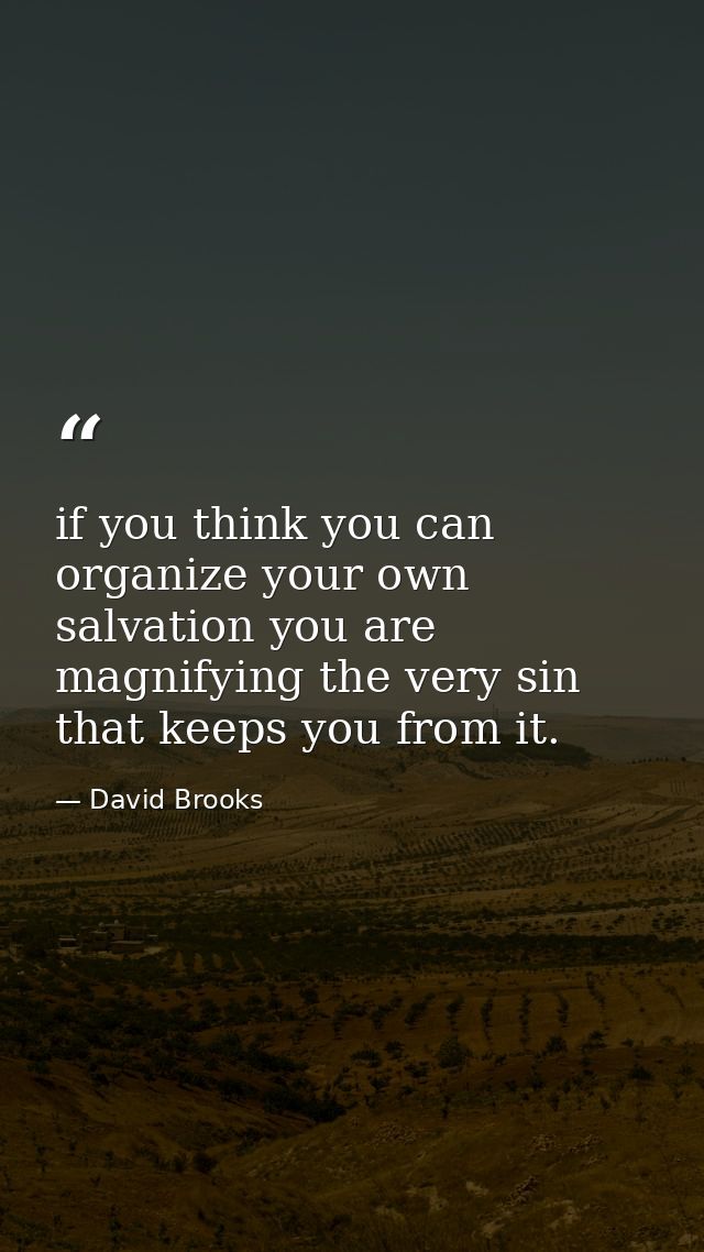 if you think you can organize your own salvation you are magnifying the very sin that keeps you from it. — David Brooks