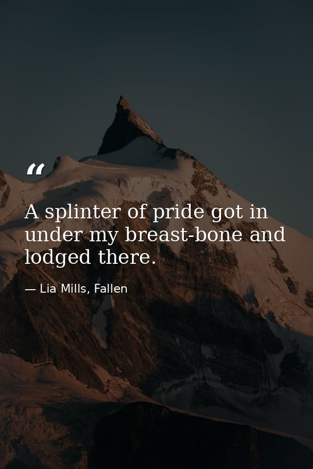 A splinter of pride got in under my breast-bone and lodged there. — Lia Mills, Fallen
