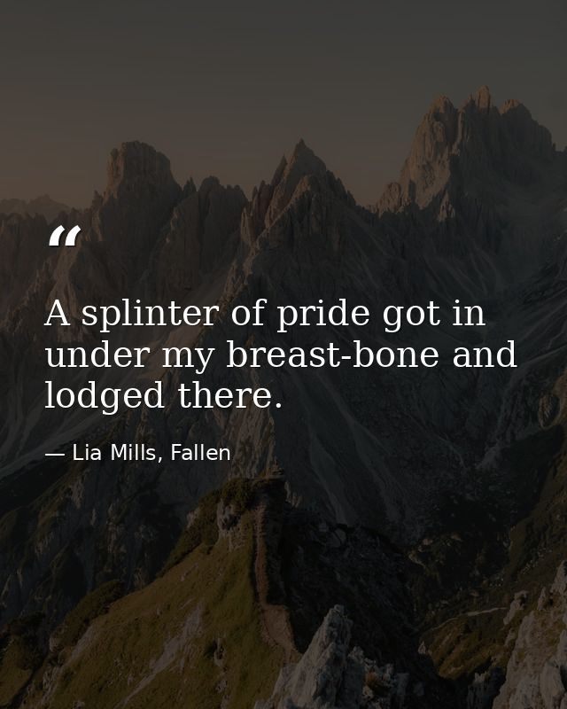 A splinter of pride got in under my breast-bone and lodged there. — Lia Mills, Fallen