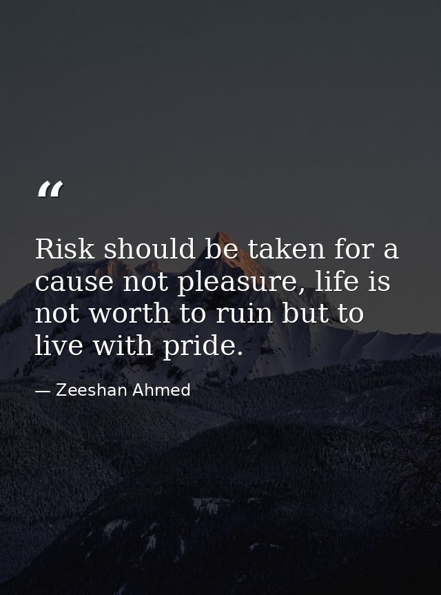 Risk should be taken for a cause not pleasure, life is not worth to ruin but to live with pride. — Zeeshan Ahmed