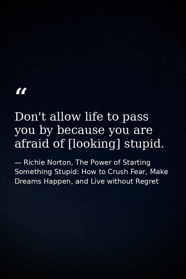 Don't allow life to pass you by because you are afraid of [looking] stupid. — Richie Norton, The Power of Starting Something Stupid: How to Crush Fear, Make Dreams Happen, and Live without Regret