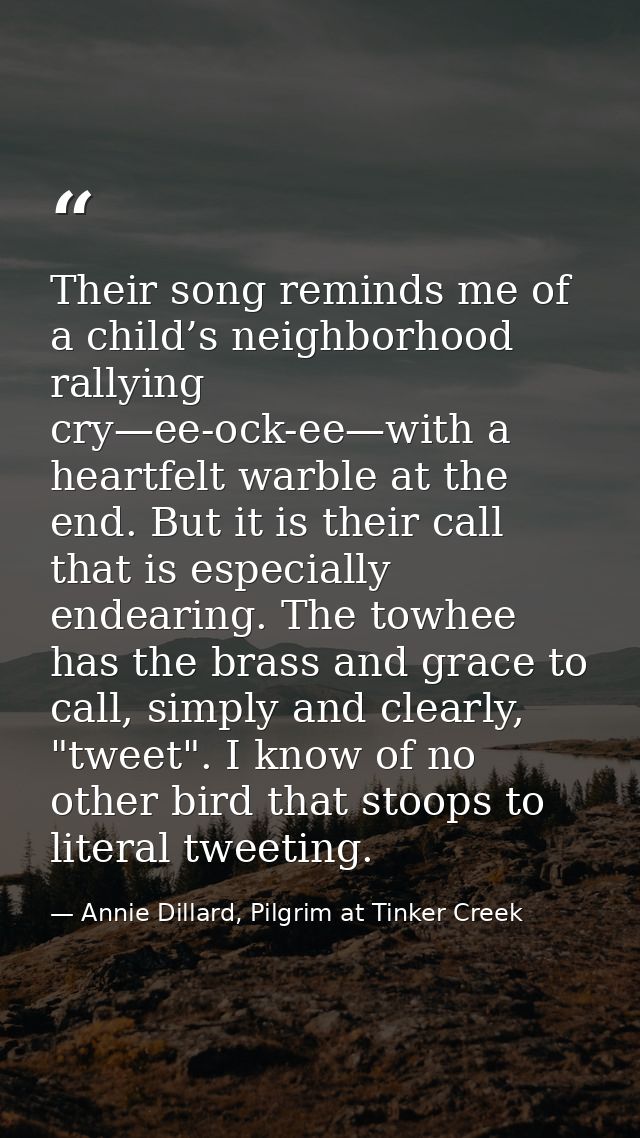 Their song reminds me of a child’s neighborhood rallying cry—ee-ock-ee—with a heartfelt warble at the end. But it is the — Annie Dillard, Pilgrim at Tinker Creek