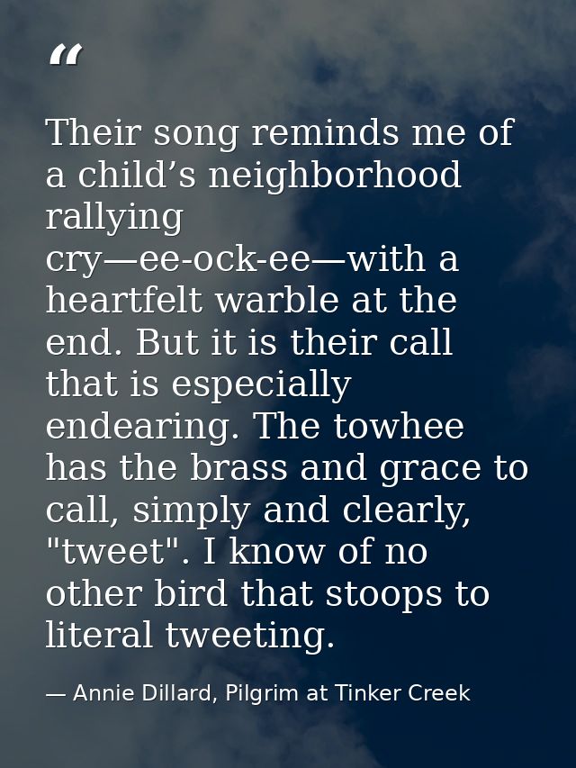 Their song reminds me of a child’s neighborhood rallying cry—ee-ock-ee—with a heartfelt warble at the end. But it is the — Annie Dillard, Pilgrim at Tinker Creek