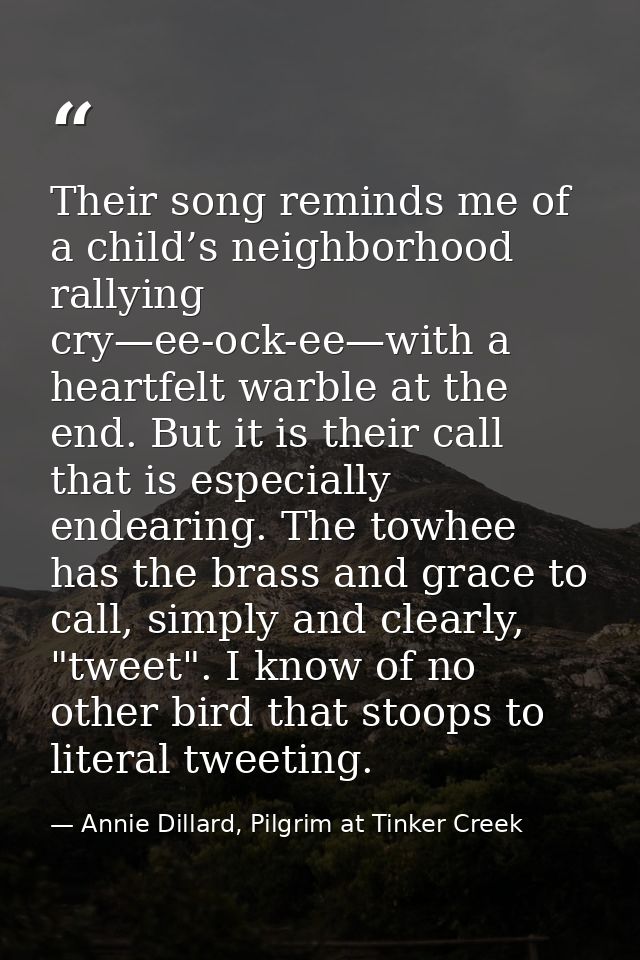 Their song reminds me of a child’s neighborhood rallying cry—ee-ock-ee—with a heartfelt warble at the end. But it is the — Annie Dillard, Pilgrim at Tinker Creek