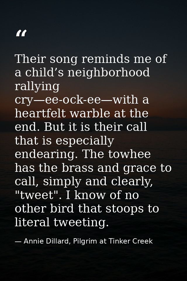 Their song reminds me of a child’s neighborhood rallying cry—ee-ock-ee—with a heartfelt warble at the end. But it is the — Annie Dillard, Pilgrim at Tinker Creek