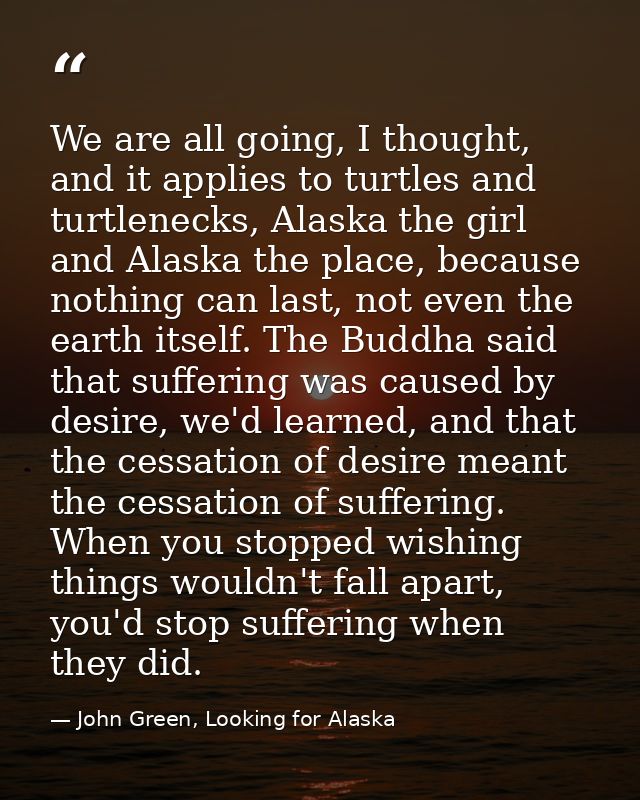We are all going, I thought, and it applies to turtles and turtlenecks, Alaska the girl and Alaska the place, because no — John Green, Looking for Alaska