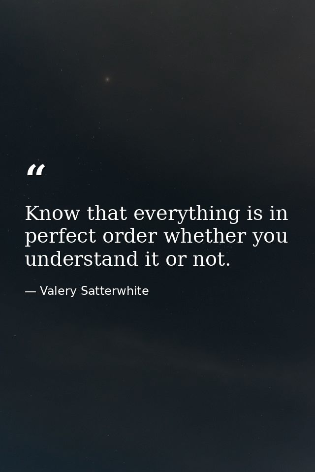 Know that everything is in perfect order whether you understand it or not. — Valery Satterwhite