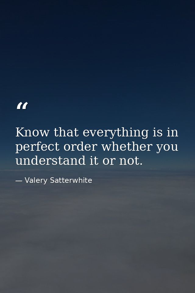 Know that everything is in perfect order whether you understand it or not. — Valery Satterwhite