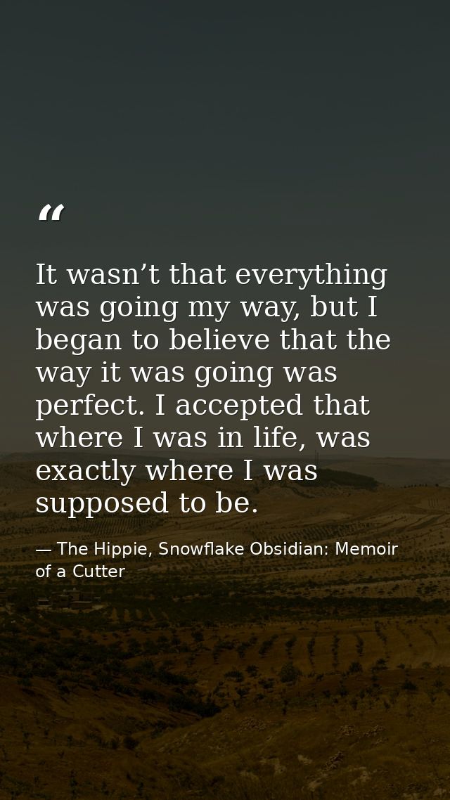 It wasn’t that everything was going my way, but I began to believe that the way it was going was perfect. I accepted tha — The Hippie, Snowflake Obsidian: Memoir of a Cutter