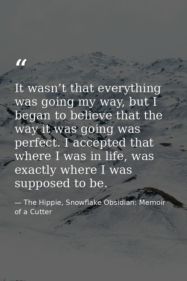 It wasn’t that everything was going my way, but I began to believe that the way it was going was perfect. I accepted tha — The Hippie, Snowflake Obsidian: Memoir of a Cutter