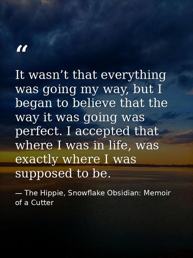 It wasn’t that everything was going my way, but I began to believe that the way it was going was perfect. I accepted tha — The Hippie, Snowflake Obsidian: Memoir of a Cutter
