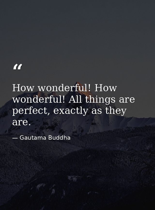 How wonderful! How wonderful! All things are perfect, exactly as they are. — Gautama Buddha