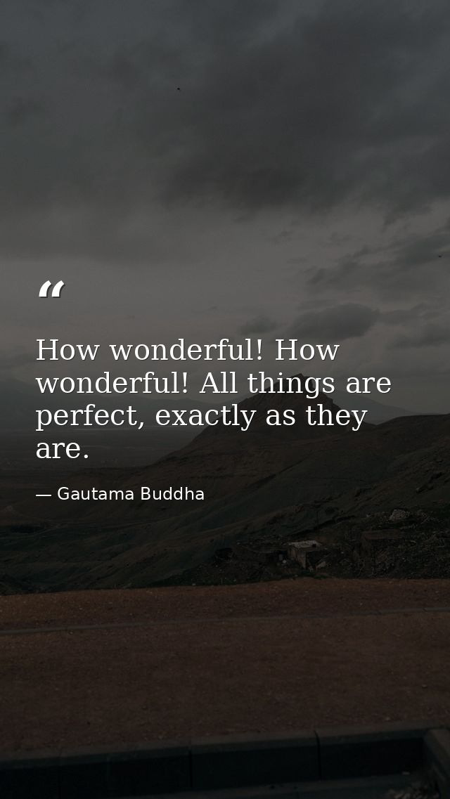 How wonderful! How wonderful! All things are perfect, exactly as they are. — Gautama Buddha