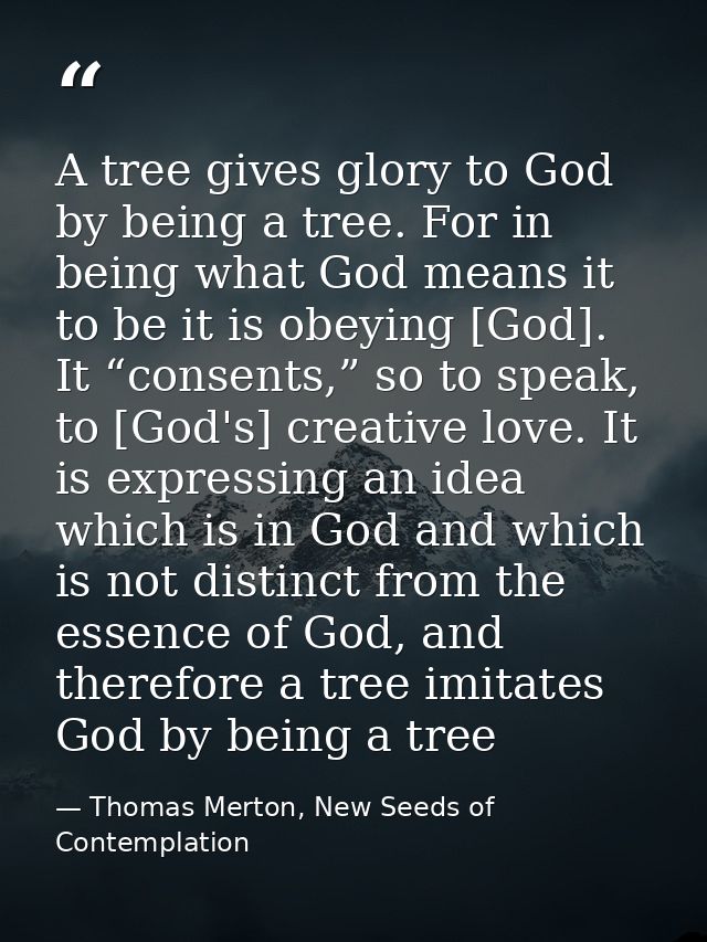 A tree gives glory to God by being a tree. For in being what God means it to be it is obeying [God]. It “consents,” so t — Thomas Merton, New Seeds of Contemplation