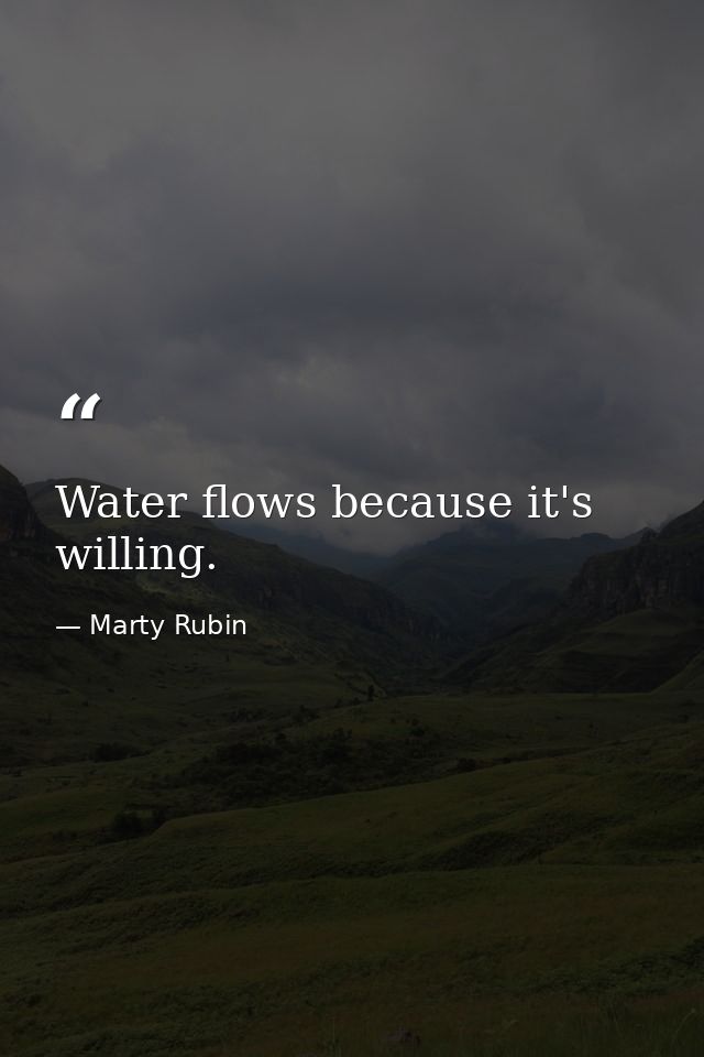 Water flows because it's willing. — Marty Rubin