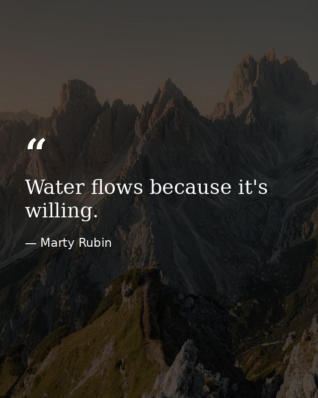 Water flows because it's willing. — Marty Rubin
