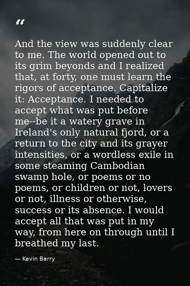 And the view was suddenly clear to me. The world opened out to its grim beyonds and I realized that, at forty, one must  — Kevin Barry
