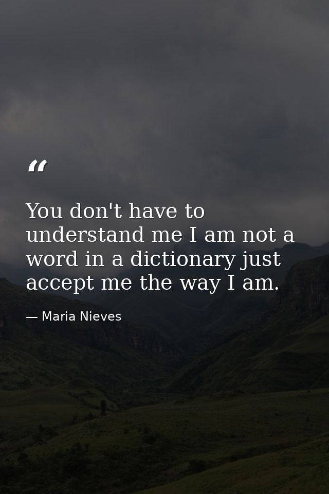You don't have to understand me I am not a word in a dictionary just accept me the way I am. — Maria Nieves