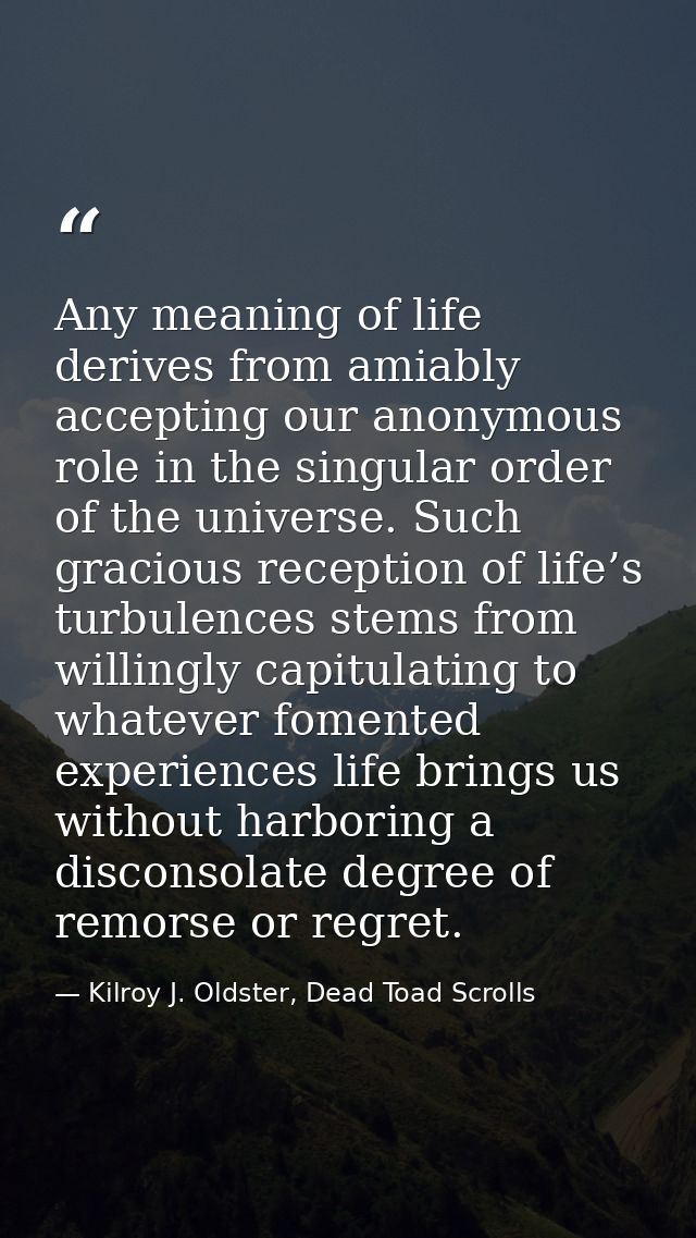 Any meaning of life derives from amiably accepting our anonymous role in the singular order of the universe. Such gracio — Kilroy J. Oldster, Dead Toad Scrolls