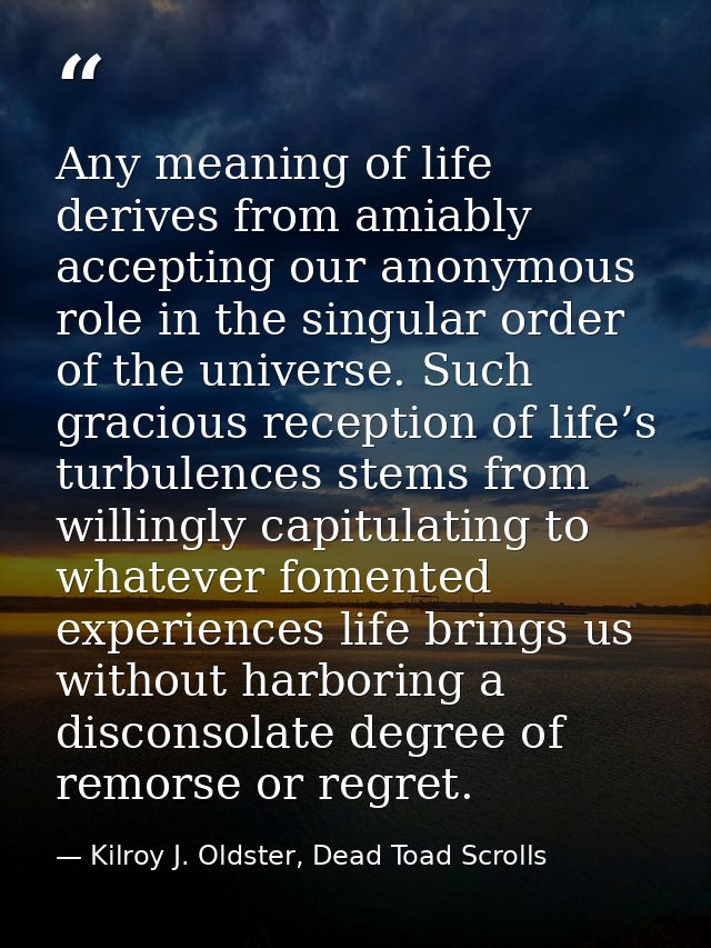 Any meaning of life derives from amiably accepting our anonymous role in the singular order of the universe. Such gracio — Kilroy J. Oldster, Dead Toad Scrolls