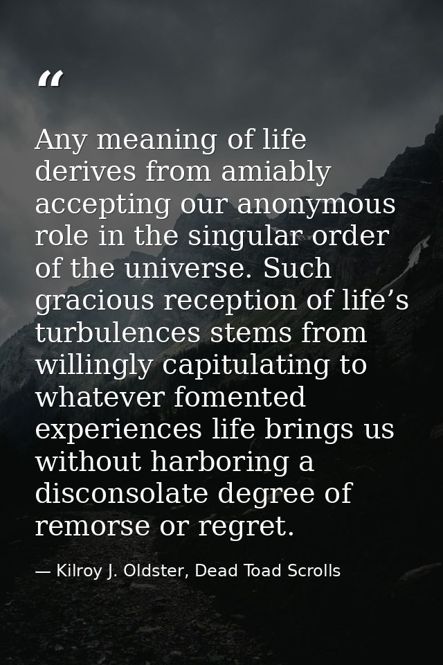 Any meaning of life derives from amiably accepting our anonymous role in the singular order of the universe. Such gracio — Kilroy J. Oldster, Dead Toad Scrolls