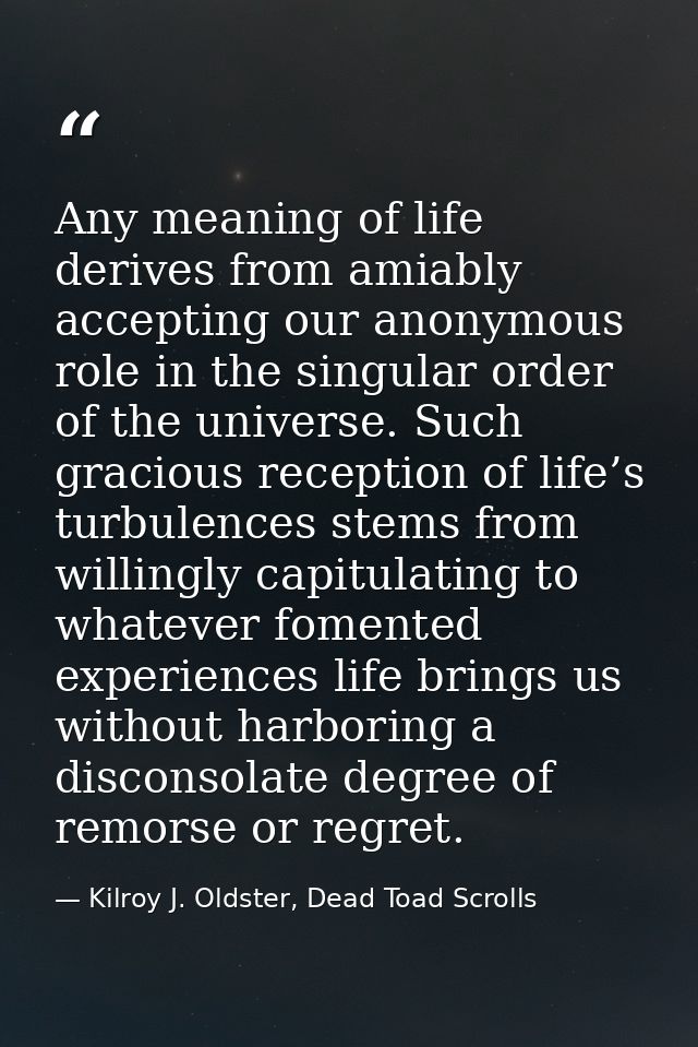 Any meaning of life derives from amiably accepting our anonymous role in the singular order of the universe. Such gracio — Kilroy J. Oldster, Dead Toad Scrolls